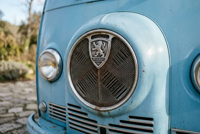 Gros plan calandre bombee et logo Peugeot D4B Nez de cochon